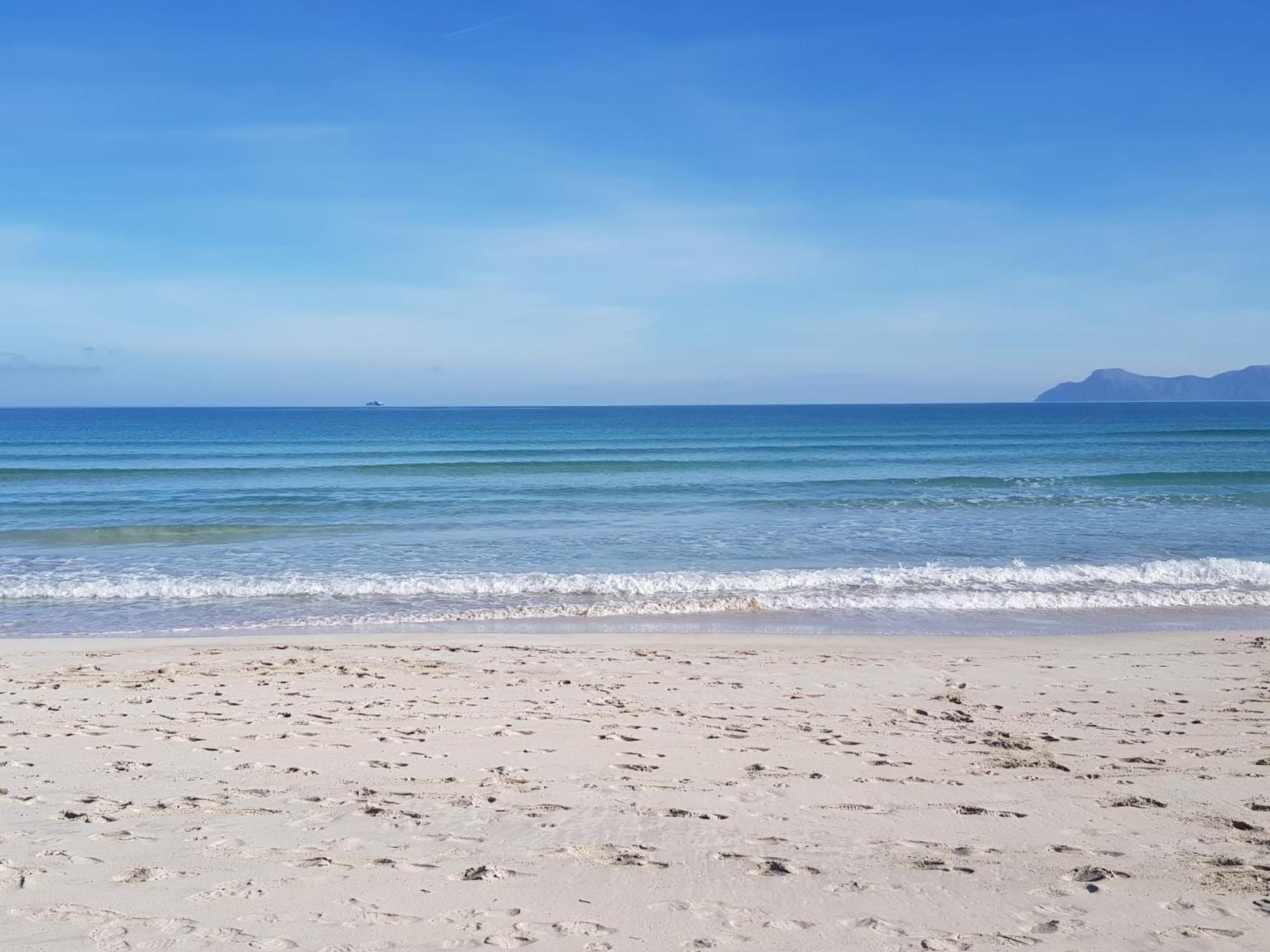 Ideal Property Mallorca - Blue Palm Beach Alcúdia Esterno foto